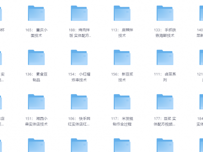 花了2.4万，全部买下来的小吃制作教程，适合小本创业学艺